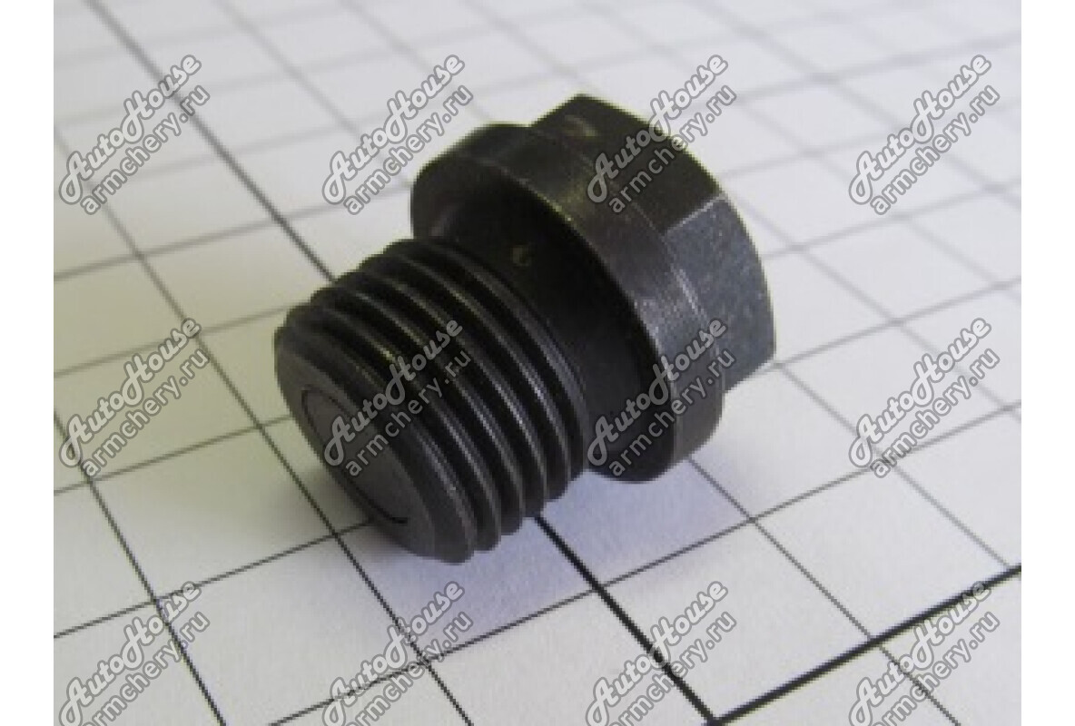 Пробка поддона Chery Fora [2.0 16V 5MT седан]