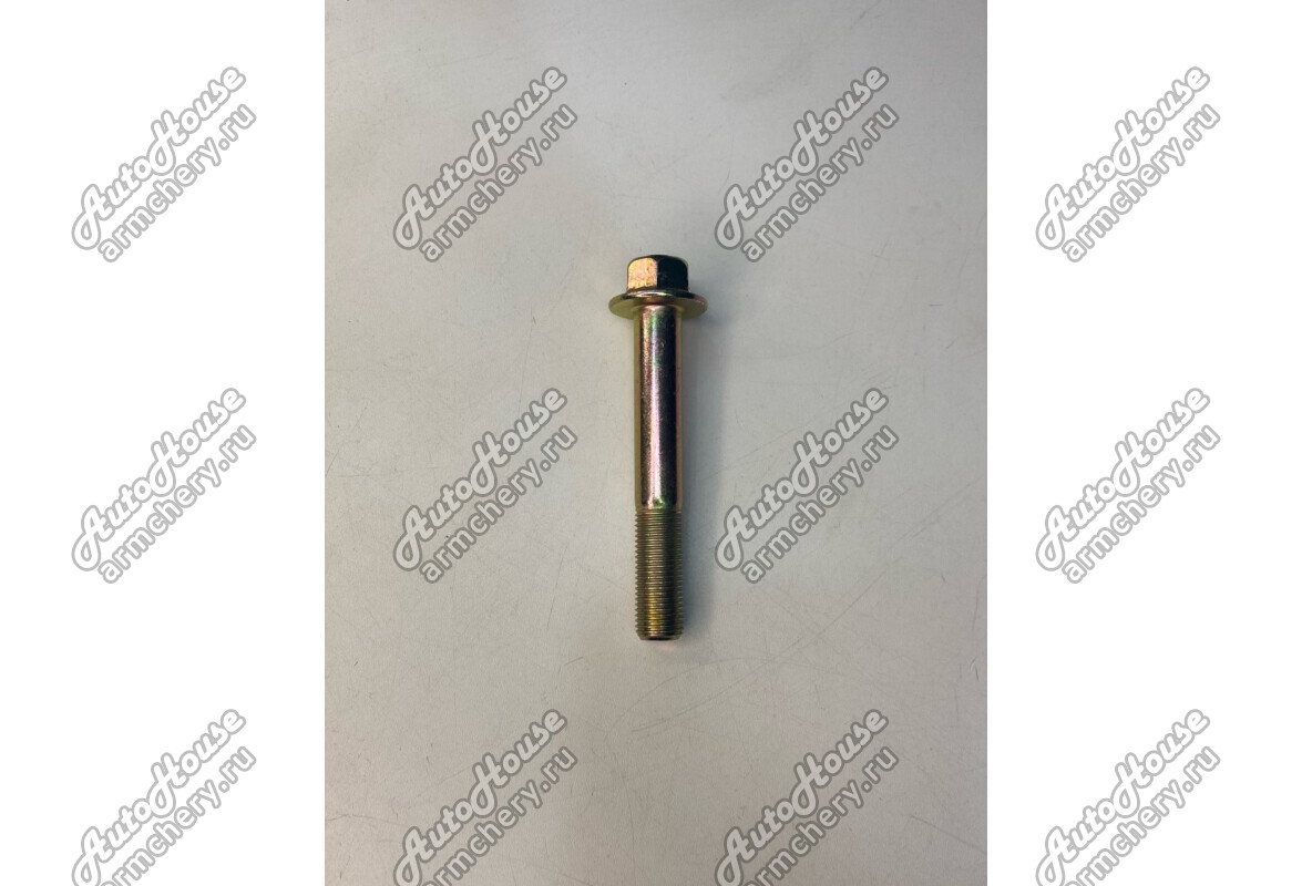 Болт рычага заднего Chery Fora [2.0 16V 5MT седан]