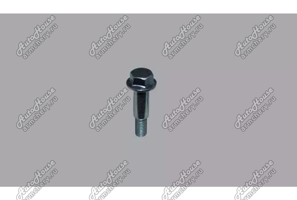 Болт крышки коленвала Chery Fora [2.0 16V 5MT седан]