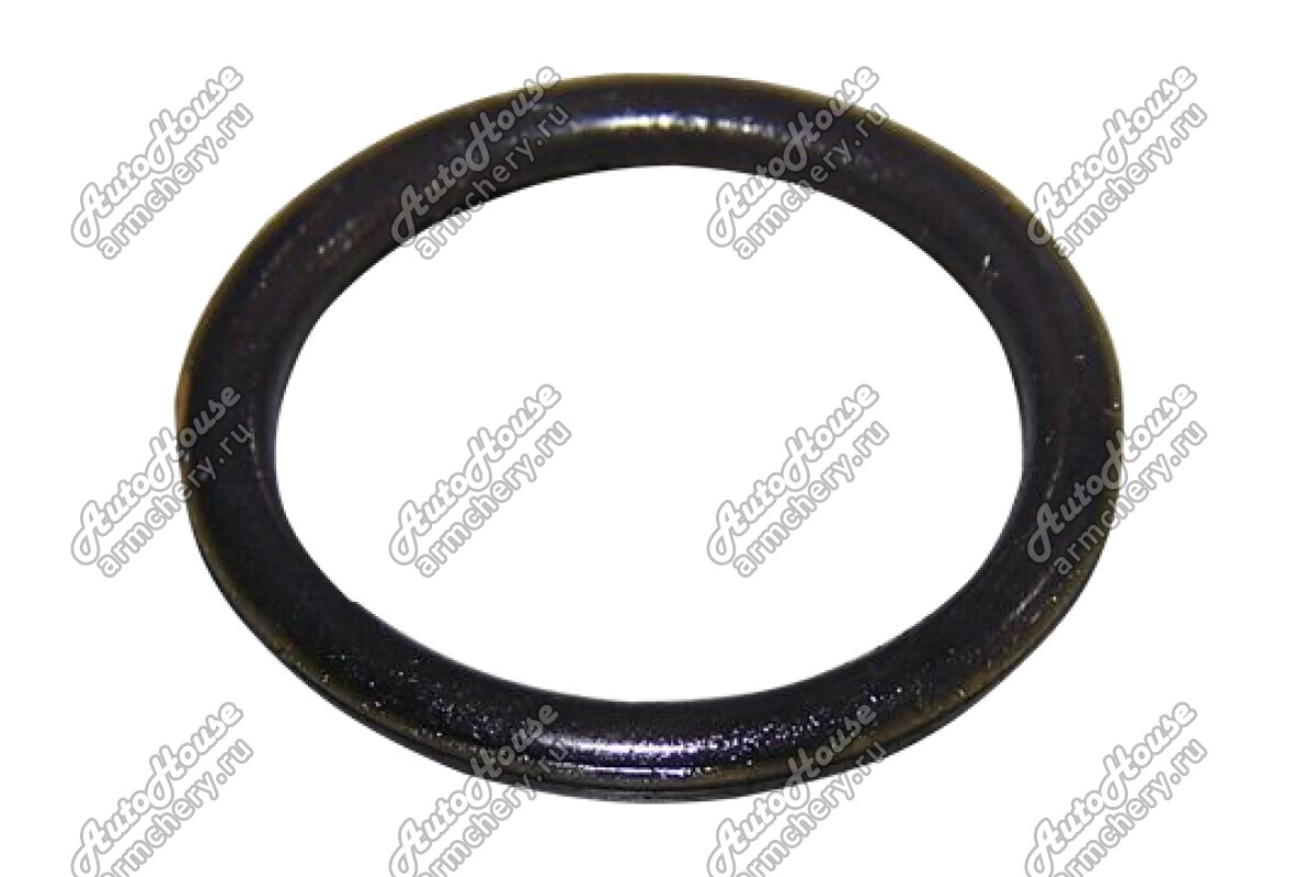 Прокладка насоса масляного (кольцо) Chery Fora [2.0 16V 5MT седан]