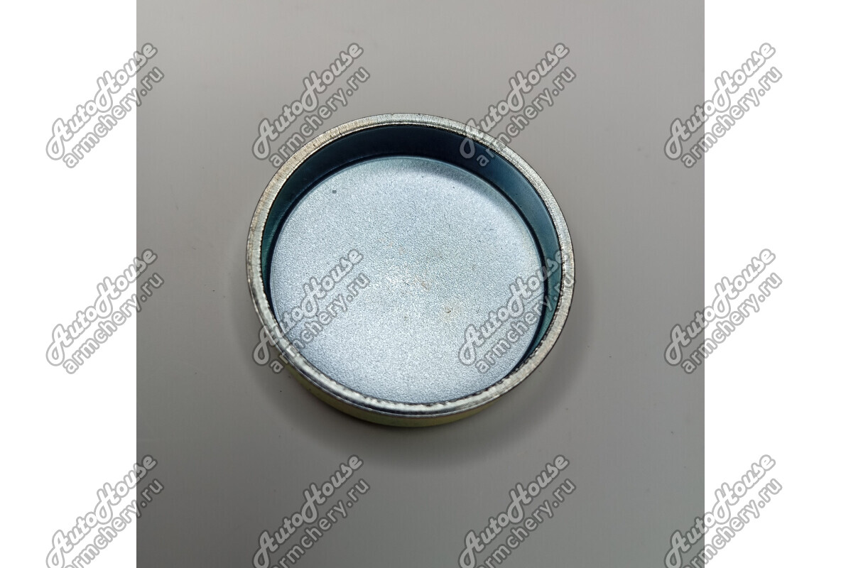 Заглушка блока цилиндров (30мм) Chery Fora [1.8 16V 5MT седан]