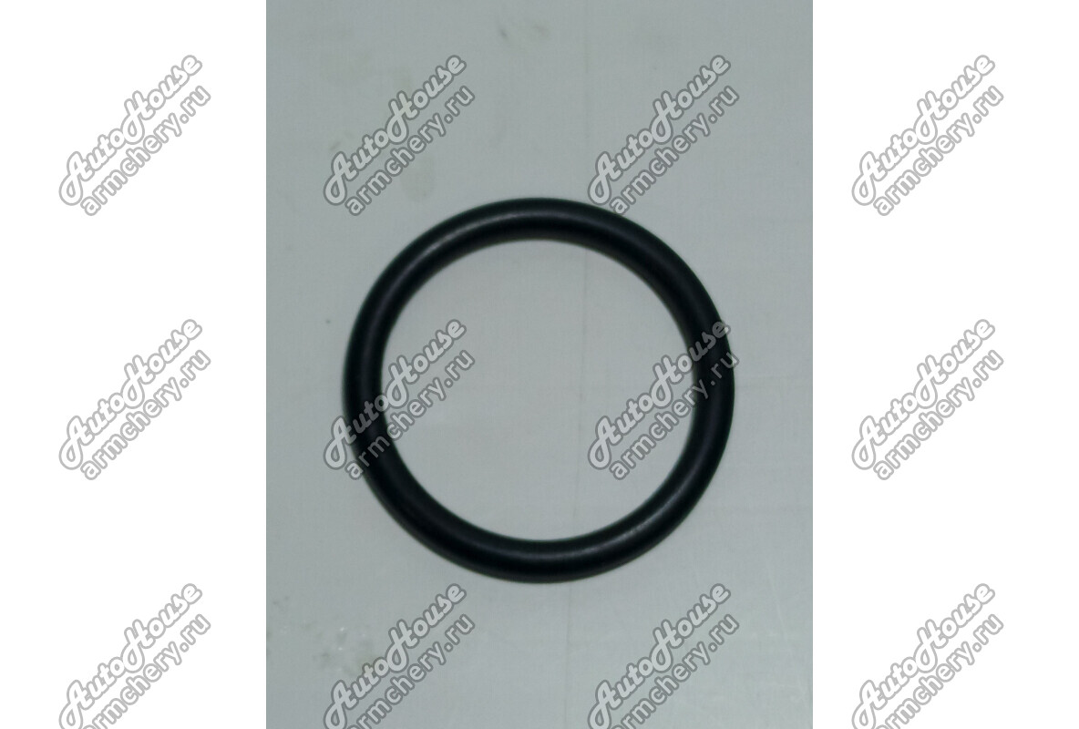 Прокладка насоса водяного (кольцо) JAC S5 (2013-2019) [2.0 16V 5MT внедорожник]