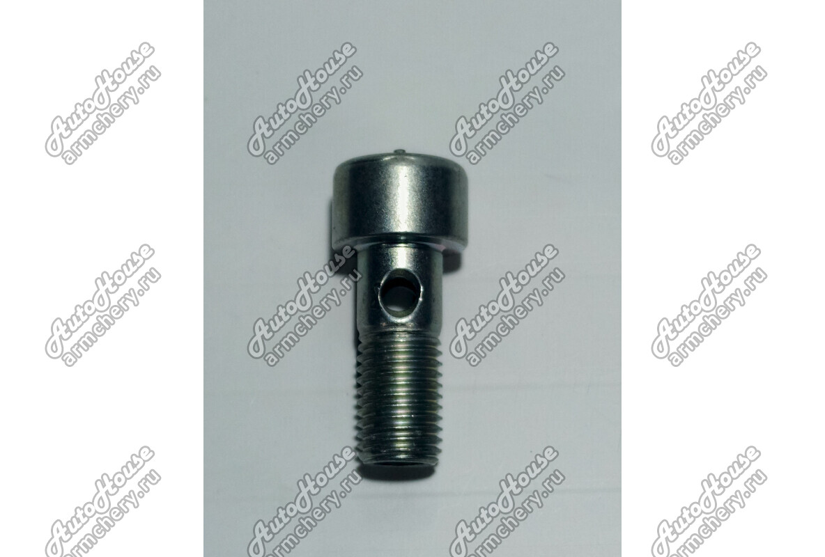 Болт трубки масляной к турбине Haval H6 [1.5 16V 6AT внедорожник 4X2 бензин]