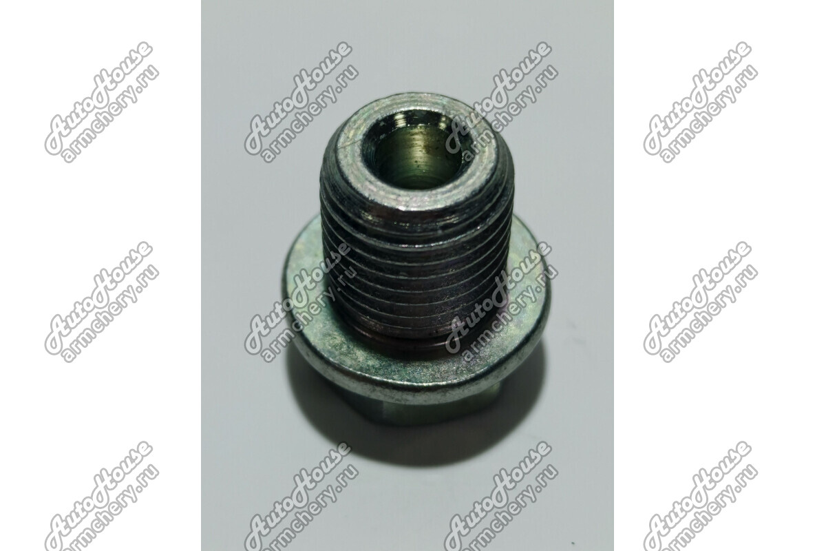 Пробка масляного канала VVT JAC J7 [1.5 16V 6MT лифтбэк Turbo]